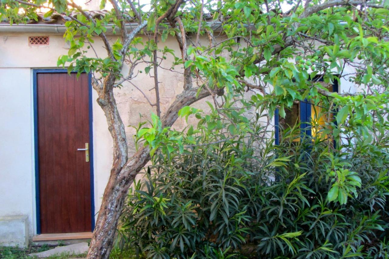 Cas Canonge Con Jardín Y Piscina Villa